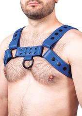 Snap Real Leather Harness Blue - Taille-thumb-1