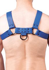 Snap Real Leather Harness Blue - Taille-thumb-2