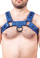 Snap Real Leather Harness Blue - Taille