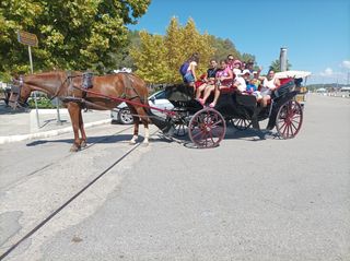 ΑΜΑΞΑ ,ΜΑΡΑΘΩΝ, WAGONETTE 