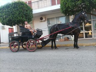 ΑΜΑΞΑ ,ΜΑΡΑΘΩΝ, WAGONETTE -thumb-2