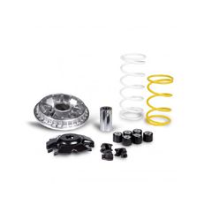 Βαριατορ Honda SH125 EU3 08-09 /150/PCX125/150 /DYLAN 125/150/PANTHEON 125/OUTLOOK 125 MALOSSI σετ - (10360-278)