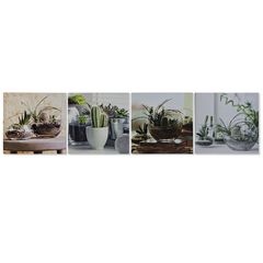 Πίνακας DKD Home Decor Κάκτος (40 x 1.8 x 40 cm) (4 pcs)