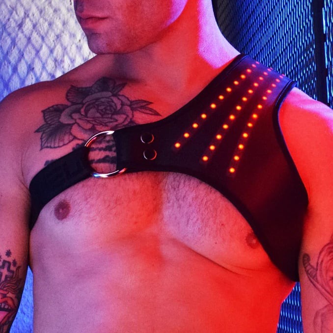 SYNERGY Breedwell Lighted Harness