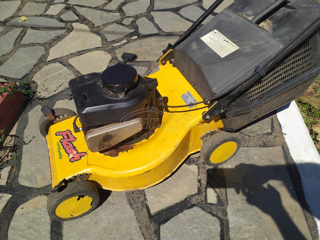 Χλοοκοπτική βενζίνης briggs&stratton