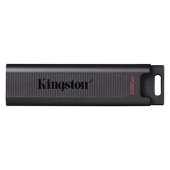 Στικάκι USB Kingston DTMAX 256 GB