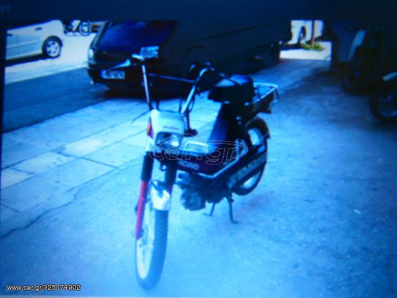 Puch 1981