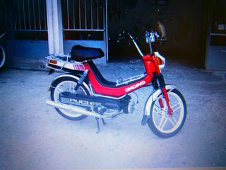 Puch 1981-thumb-1