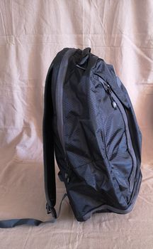 DELSEY ORIGINAL ΣΑΚΙΔΙΟ ΠΛΑΤΗΣ (BACKPACK) ΟΛΟΚΑΙΝΟΥΡΓΙΟ