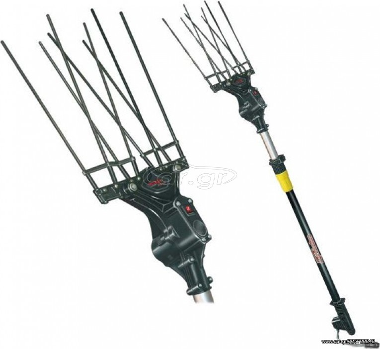 ZANON GENIUS 12 V