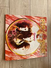 Δίσκος βινυλίου Pop Heroes 