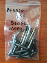 APRILIA PEGASO 650  (03) Βίδες  Κάρτερ Γνήσιες 