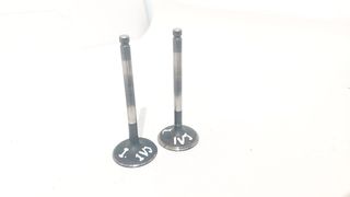 Βαλβίδες εισαγωγής από YAMAHA TT600R 1VJ 1997-2001 (Intake valves)