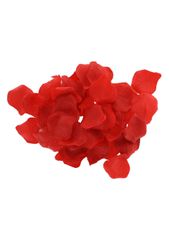 RED ROMANCE GIFT-thumb-6