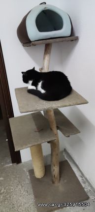 Natural Large cat tree with scratching post