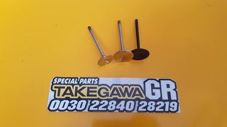 valvides gia superhead takegawa 4sm 