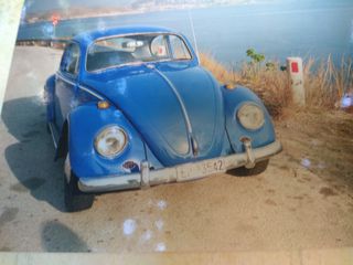 Volkswagen Beetle 1965 1300-thumb-1