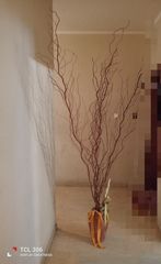 Πυθάρια ( 2 )  με διακοσμητικά αποξηραμένα ξερόκλαδα ( 50€ το καθενα )