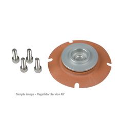 Aeromotive EFI Regulator Service Kit 13004