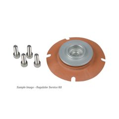 Aeromotive Carbureted Regulator Service Kit 13006