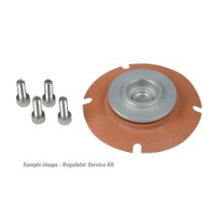Aeromotive Carbureted Regulator Service Kit