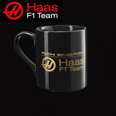 Haas f1 κούπα