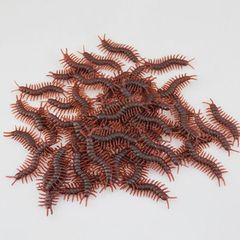 Ψεύτικη Σαρανταποδαρούσα Fake centipede