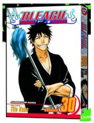 Viz Bleach Vol. 30 Paperback Manga