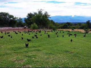 ΚΟΤΕΣ BLACK ROCK
