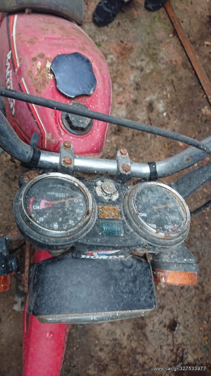 Raggoon honda