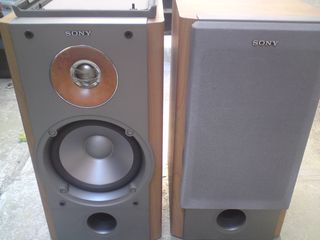 SONY SS-NX1 & SS-RC100 ΗΧΕΙΑ 100 WATT