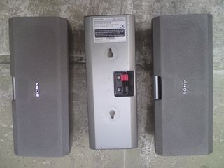 SS-RC100 ΗΧΕΙΑ 100 WATT