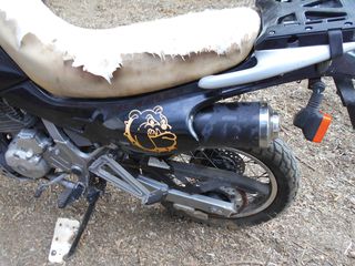 HONDA DOMINATOR NX-650 -thumb-4