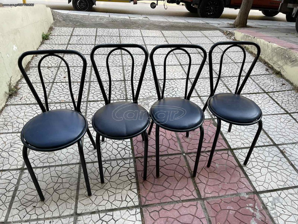 ΚΑΡΕΚΛΕΣ ΣΙΔΕΡΕΝΙΕΣ ΜΕ ΔΕΡΜΑΤΙΝΗ 