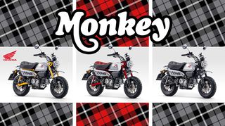 Honda Monkey 125 2026 MY26-thumb-28