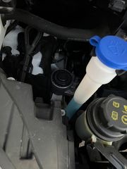 Κλούβα Ford 2016 TRANSIT CUSTOM TRED L1H1/ΑΡΧΕΙΟ ΣΥΝΤΗΡΗΣΗΣ-thumb-21