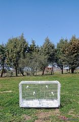 Ζευγαρώστρες καινούργιες  