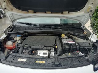 Citroen C4 Cactus 2015 cactus