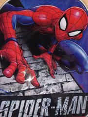 Marvel Spiderman Sides 3D backpack 31cm