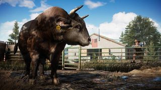 Far Cry 5 / PlayStation 4-thumb-3
