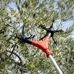 Ελαιουργικά-Ραβδιστικά 2008 Ηλεκτρική βέργα MARTINO Light-thumb-1