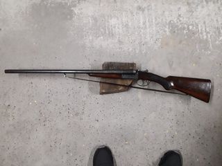 Robust 238