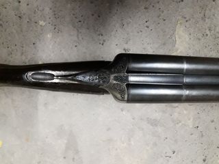 Robust 238-thumb-7