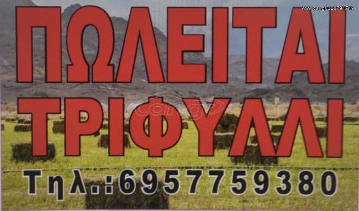 Πωλειται τρυφιλλη μπαλλα μικρη..!!