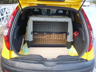 Fiat Punto 2009-thumb-10