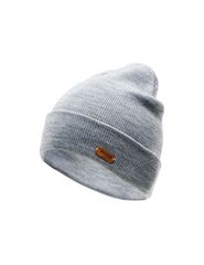 Iguana Seine Beanie Ανδρικός Σκούφος με Rib Πλέξη σε Γκρι χρώμα 92800187876