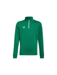 Adidas Παιδικό Φούτερ Πράσινο Entrada 22 HI2132