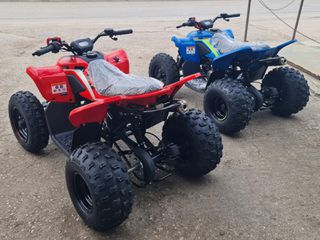 CFmoto CFORCE 110 2026-thumb-1