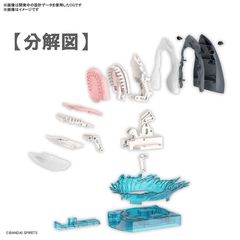 EXPLORING LAB NATURE - Great White Shark - Model Kit-thumb-2