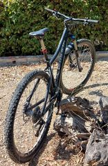 All - Mountain 2017 XC-TRAIL DARTMOOR PRIMAL 29er L/48-thumb-6